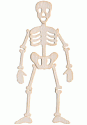 QuicKutz Die - Skeleton